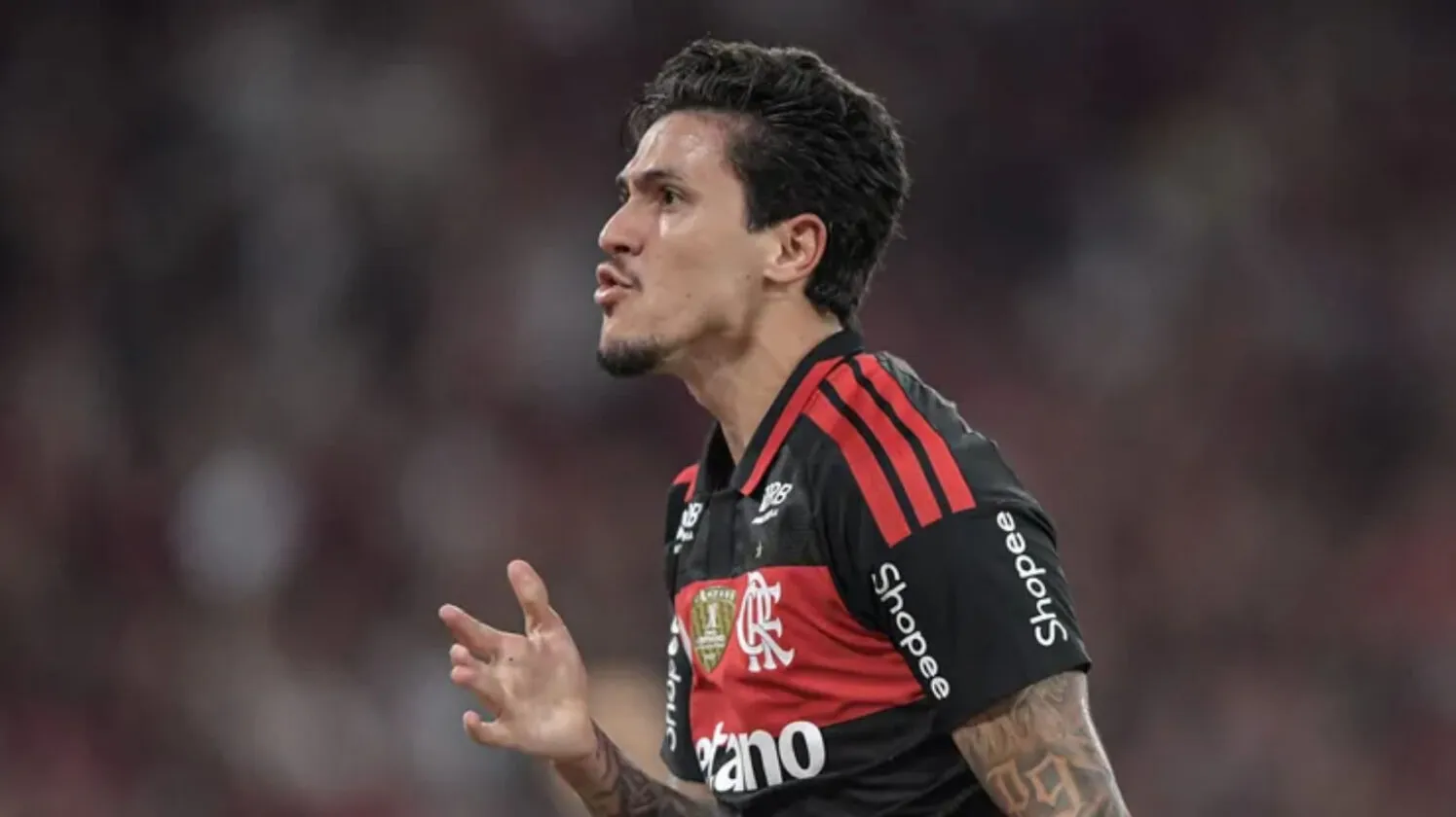 Pedro alcança marca histórica e iguala Gabigol na artilharia do Flamengo